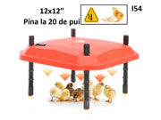 Panou incalzire  automat pentru ingrijire pui cu LED pina la 20 pui – I54