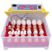 Incubator automat OVOBOX-36 oua de gaina / 144 oua prepelita