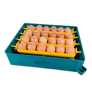Incubator automat EU PROFI C-24