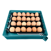 Incubator automat EU PROFI C-24