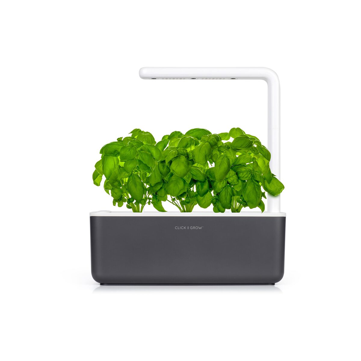 Cumpara Gradina inteligenta Click & Grow Smart Garden 3, Gri de la Mesterul Minune