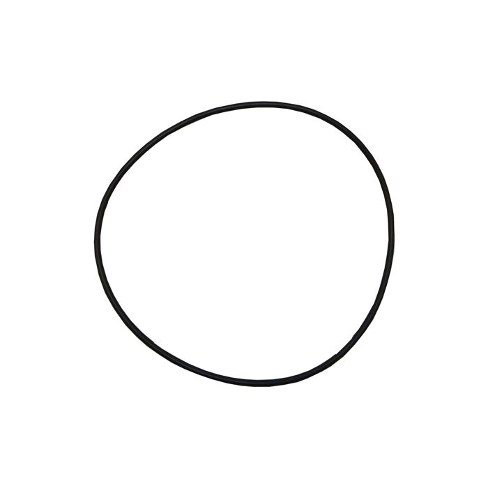 Inel, o-ring flansa prefiltru pompa Pentair Swimmey R111P0970