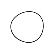 Inel, o-ring flansa prefiltru pompa Pentair Swimmey R111P0970