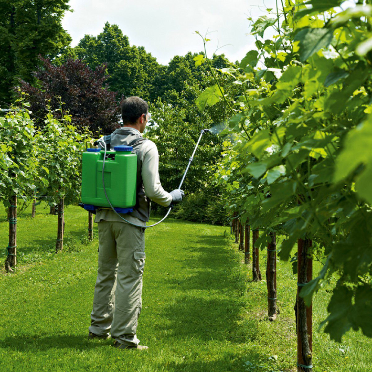 Cumpara Pulverizator / Pompa de stropit Dimartino-GDM Rosy, 12 L de la Mesterul Minune