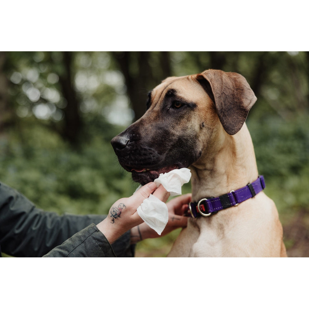 Servetele umede UltraGrime Pet-Care, 38 cm x 25 cm, 40 de bucati biodegradabile