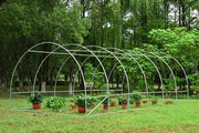Solar de grădină 6x3x2.5m, polietilenă 240 g/m2, rezistentă la UV, țeavă 26 * 1.2mm