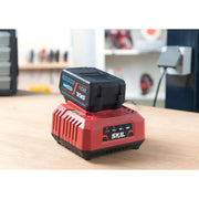 Cumpara acum 3122 AA, Incarcator 20V Max, 2.5A, pentru acumulatorii SKIL PWRCORE de la Mesterul Minune