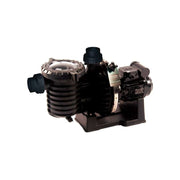 Pompa recirculare apa sarata Pentair Sta-Rite SW5P6RH-3E2