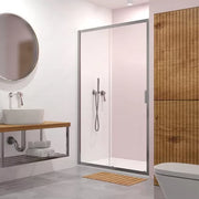 Usa dus glisanta Radaway Alienta DWJ 100xH190 cm, montaj in nisa