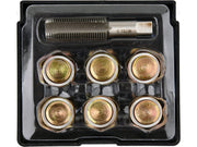 SET REPARAT BUȘOANE BAIE DE ULEI,M17X1.5 YATO YT-17573
